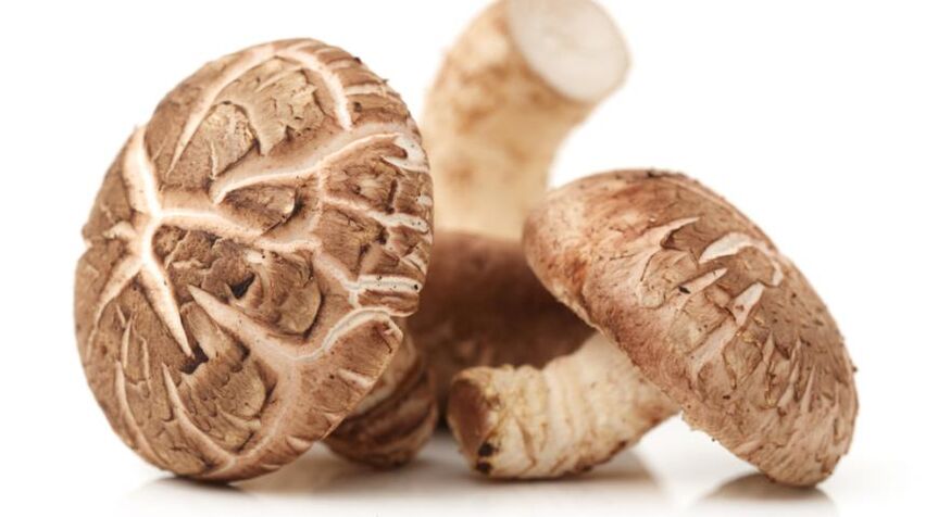 Shiitake mushrooms are part of the Prostamin Forte